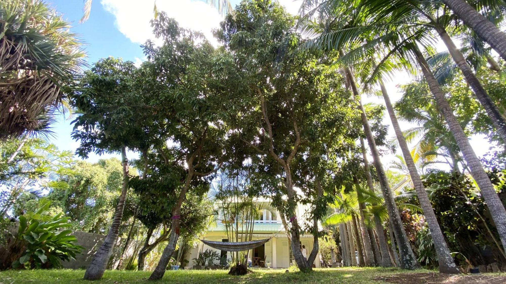 Coliver - Coliving A La Reunion Saint Pierre Eksteriør billede