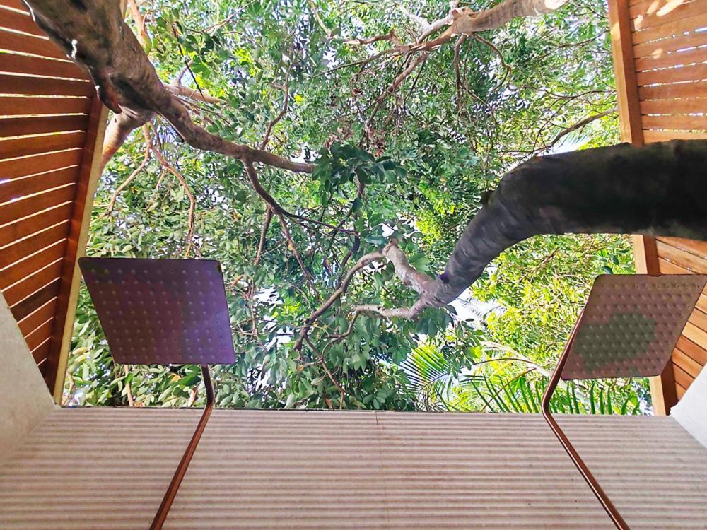 Coliver - Coliving A La Reunion Saint Pierre Eksteriør billede