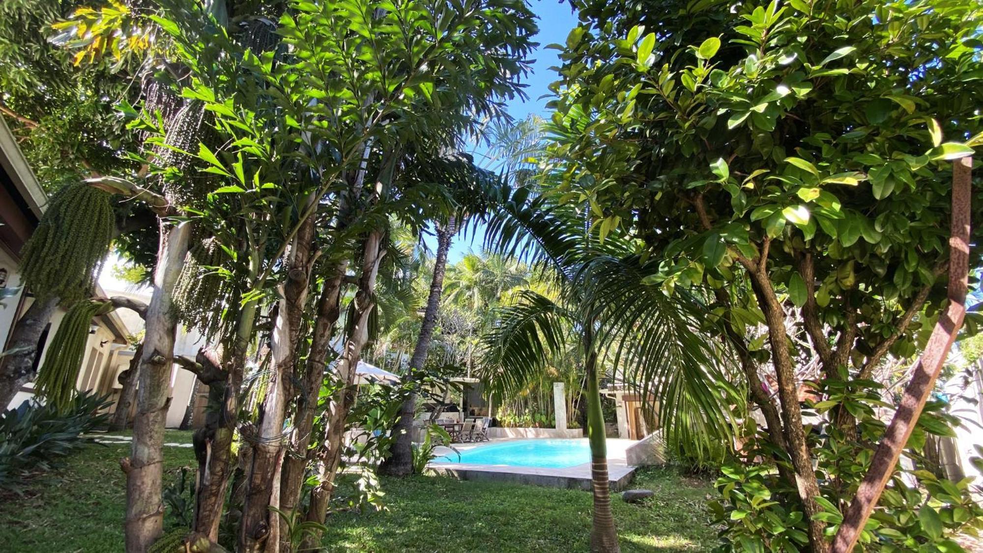Coliver - Coliving A La Reunion Saint Pierre Eksteriør billede
