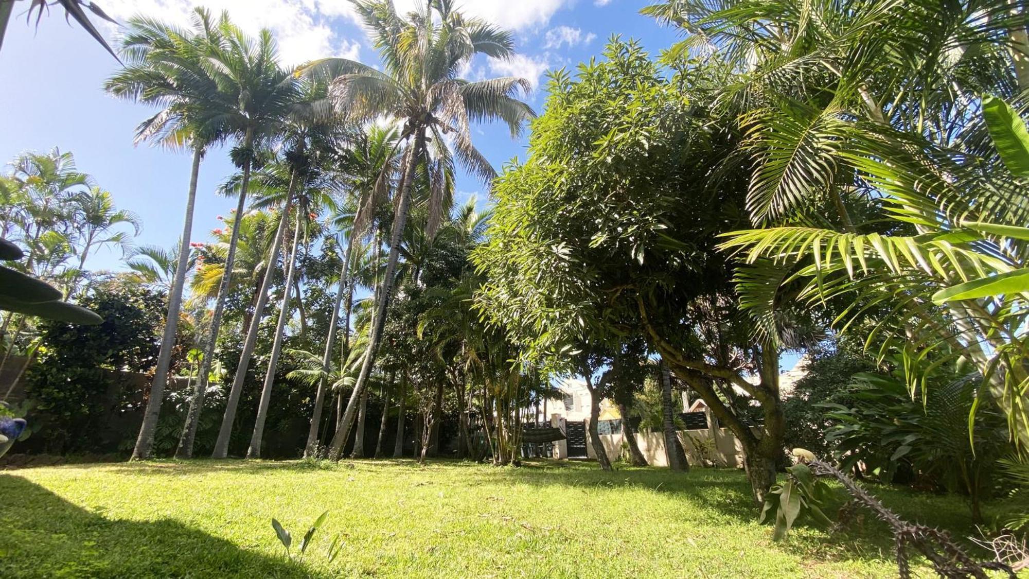 Coliver - Coliving A La Reunion Saint Pierre Eksteriør billede