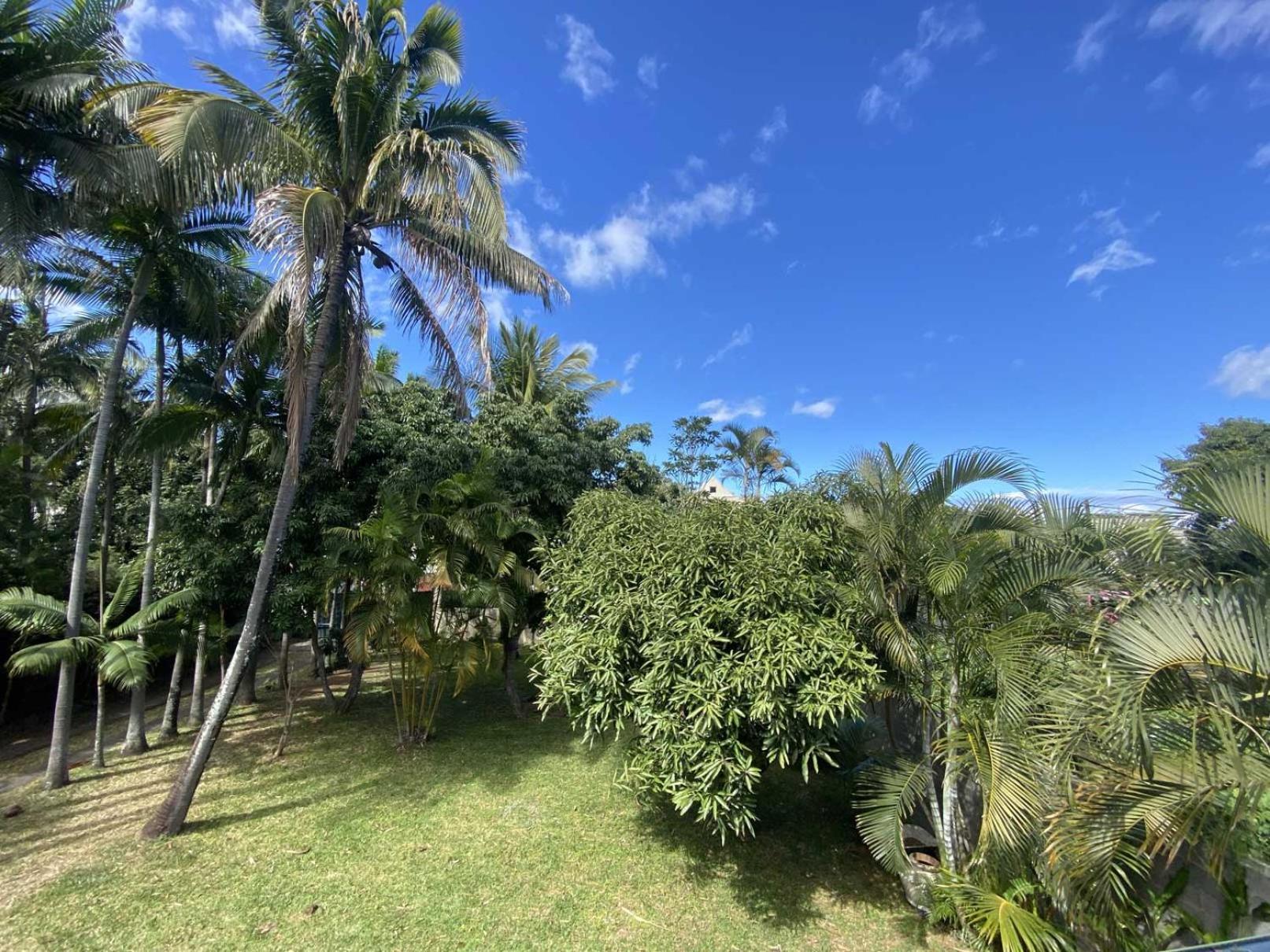 Coliver - Coliving A La Reunion Saint Pierre Eksteriør billede