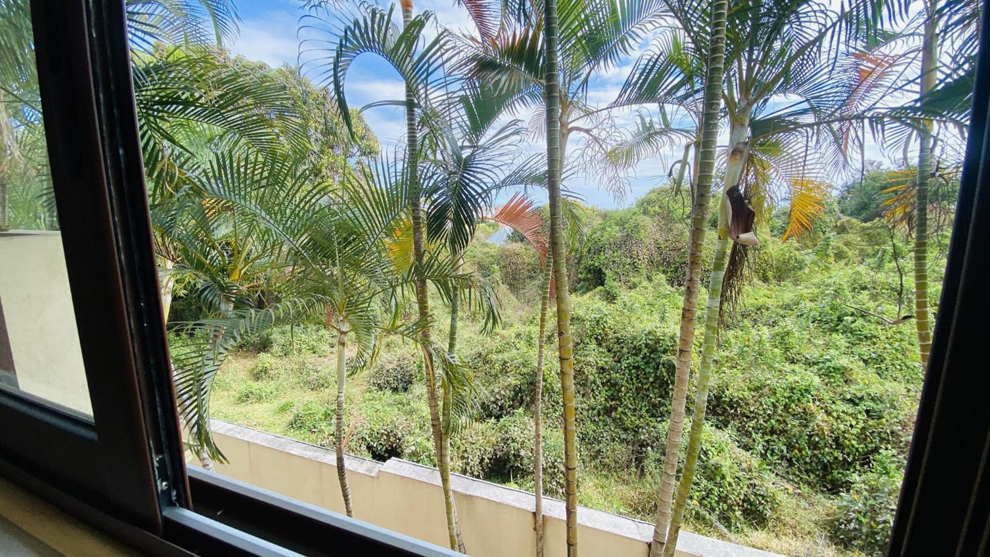 Coliver - Coliving A La Reunion Saint Pierre Eksteriør billede