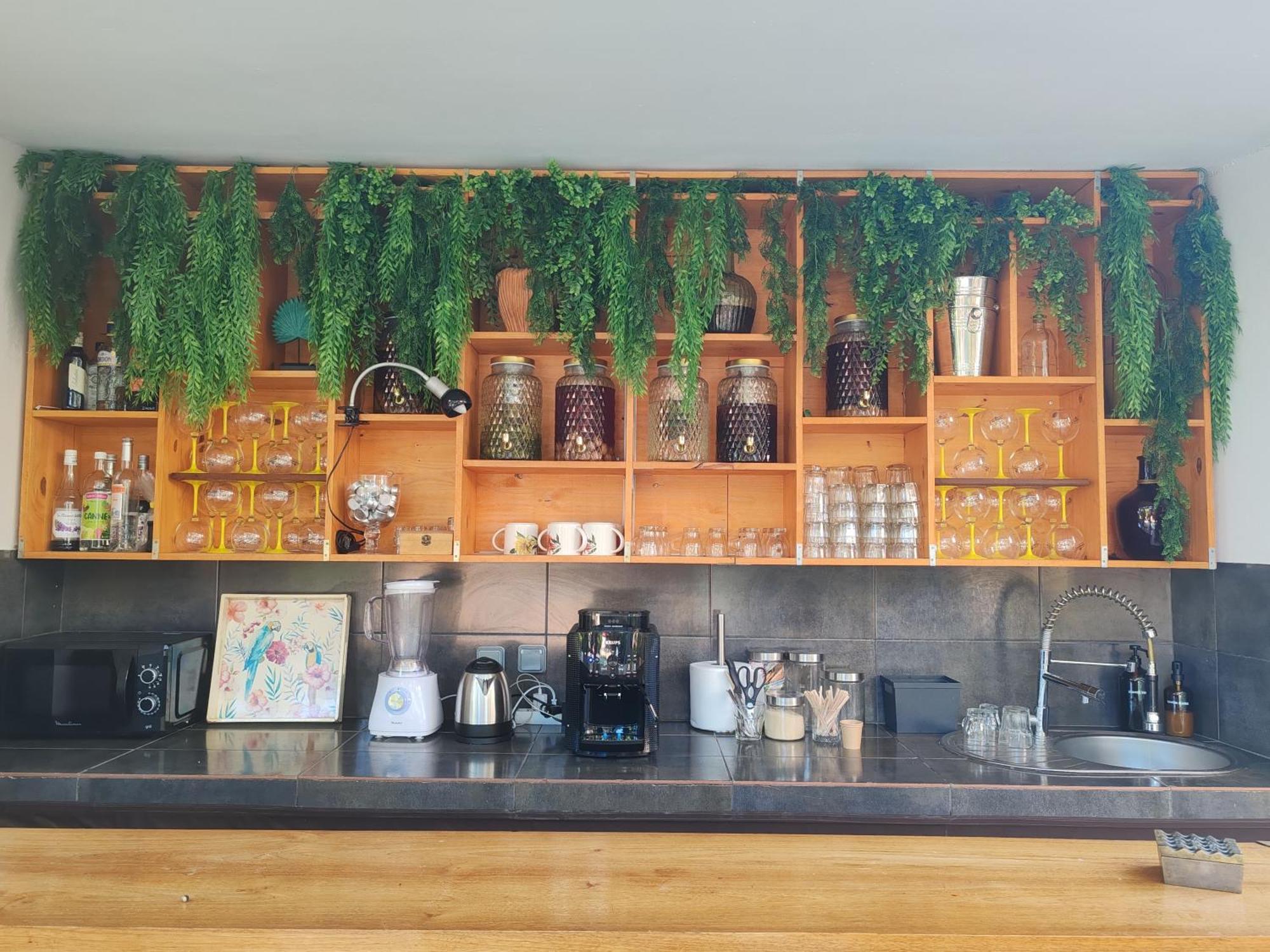 Coliver - Coliving A La Reunion Saint Pierre Eksteriør billede